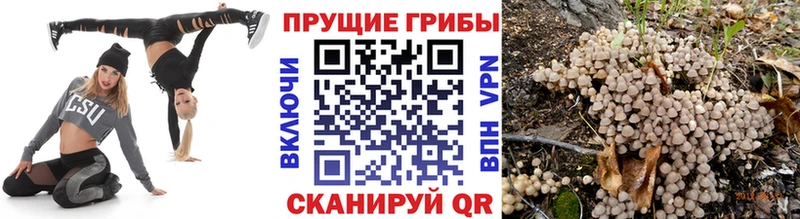 Галлюциногенные грибы прущие грибы  магазин  наркотиков  Киржач 