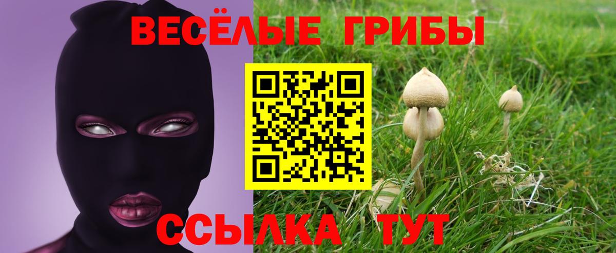 закладки  Вход с VPN  Киржач  Псилоцибиновые грибы Magic Shrooms 
